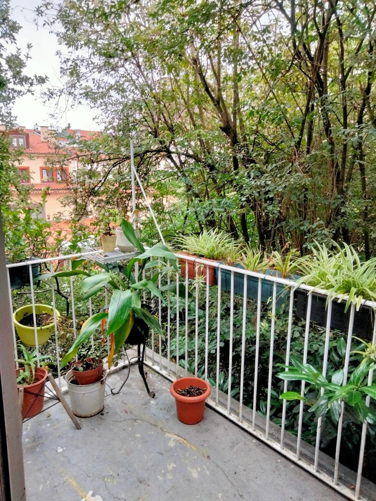 Dans L'Atelier Hostel Unidade Porta Nova Braga Ngoại thất bức ảnh